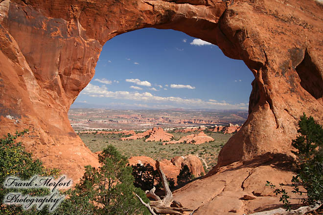 Partition Arch