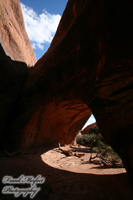 Navajo Arch