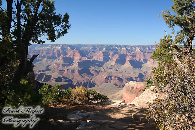 Pipe Creek Vista