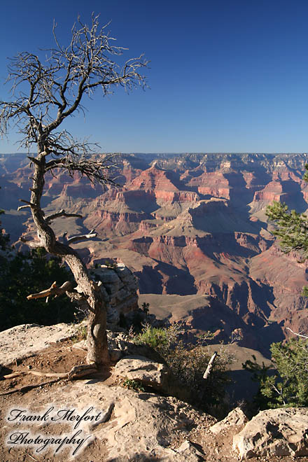 Mather Point