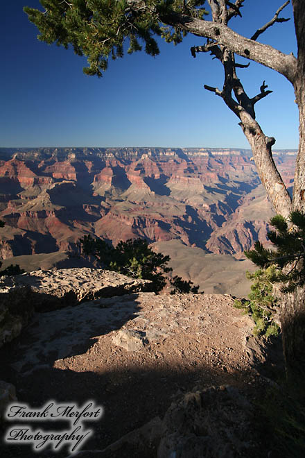 Mather Point