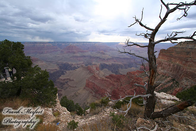 Mohave Point