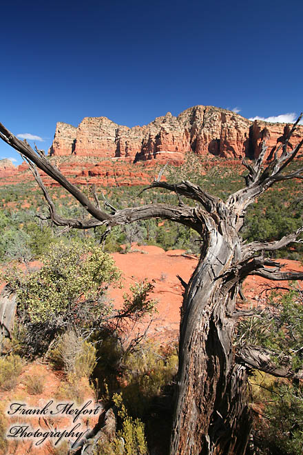 Courthouse Butte Loop bei Sedona