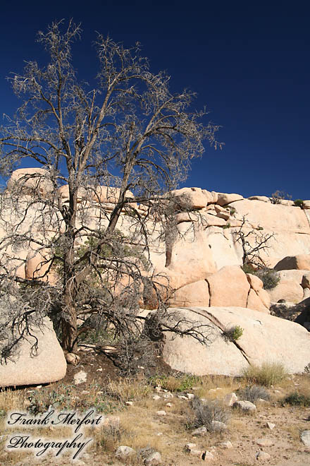Trail zum Barker Dam