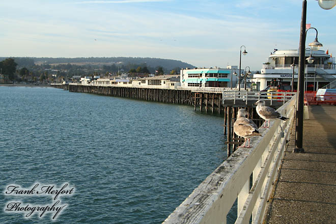 Santa Cruz