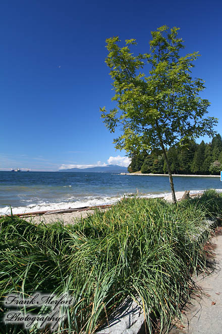 Aussicht vom Stanley Park in Richtung Westen bzw. Nordwesten