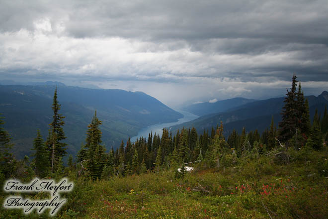 Meadows in the Sky Trail
