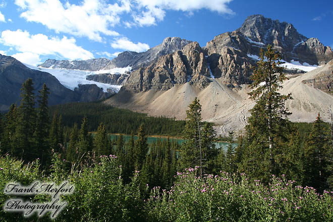 Crowfoot Glacier