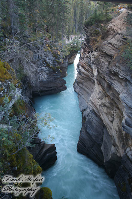 Athabasca Falls
