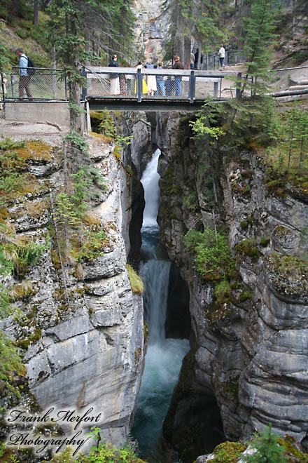 Maligne Canyon