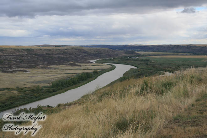 Orkney Viewpoint
