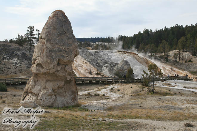 Liberty Cap