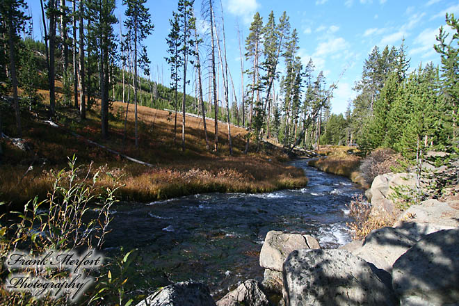 Virginia Cascades