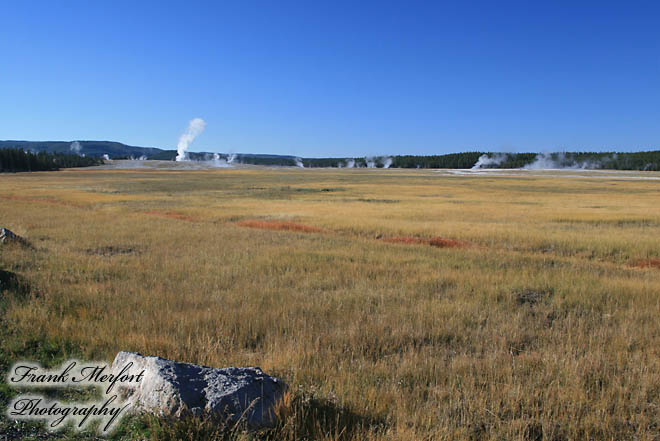 Lower Geyser Basin