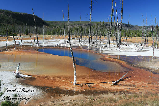 Black Sand Basin