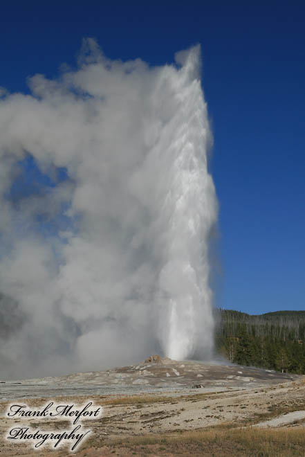 Old Faithful Geyser