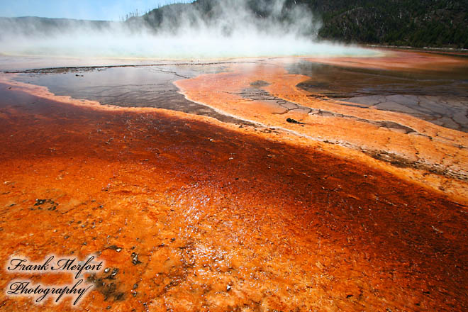 Grand Prismatic Spring