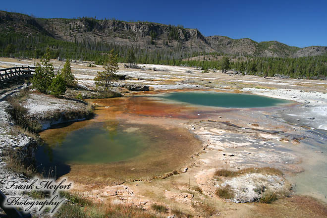 Biscuit Basin