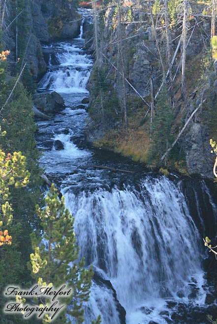 Kepler Cascades