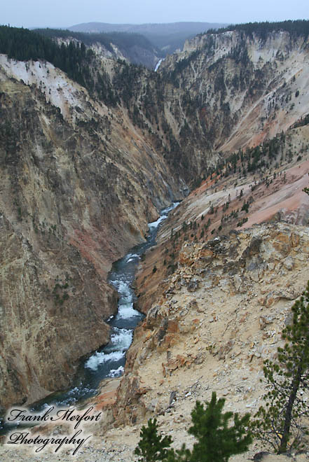 Grand Canyon of the Yellowstone