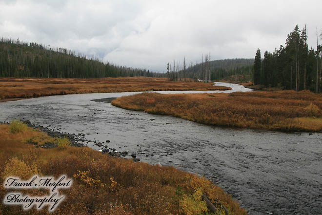Bei den Lewis Falls