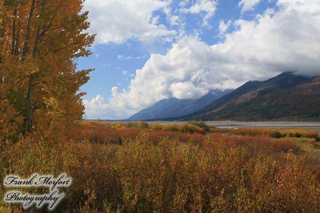 Jackson Lake