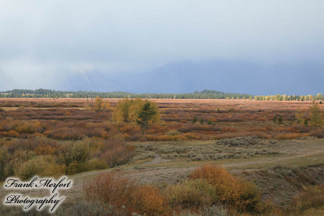 Tetons in den Wolken