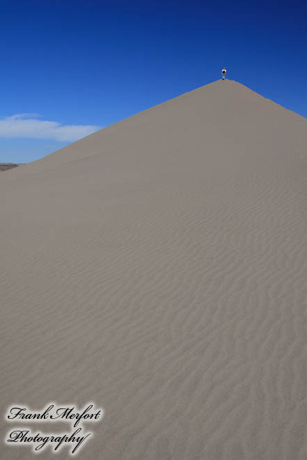 Düne im Bruneau Dunes State Park
