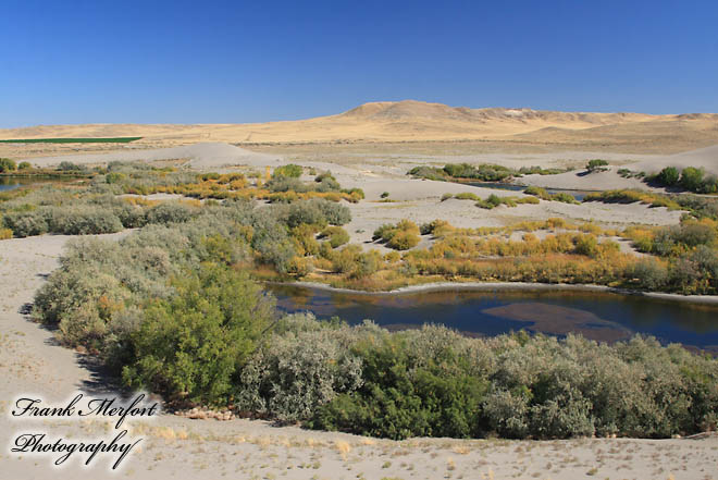 Bruneau Dunes State Park