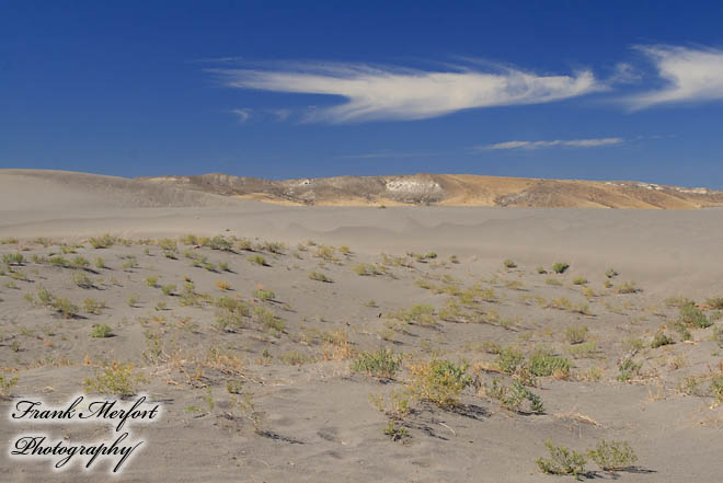 Bruneau Dunes State Park