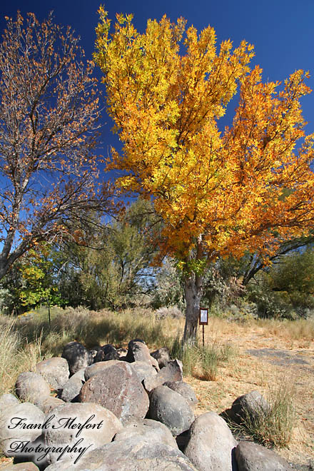 Herbstfarben