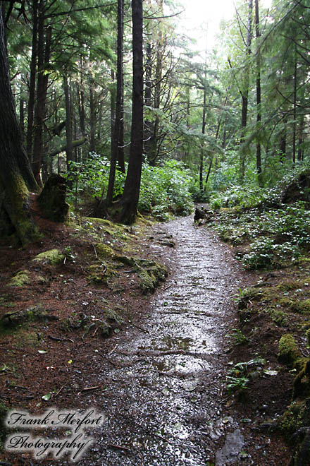 Trail zum Second Beach