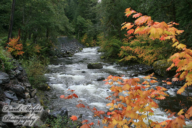 Salmon Cascades