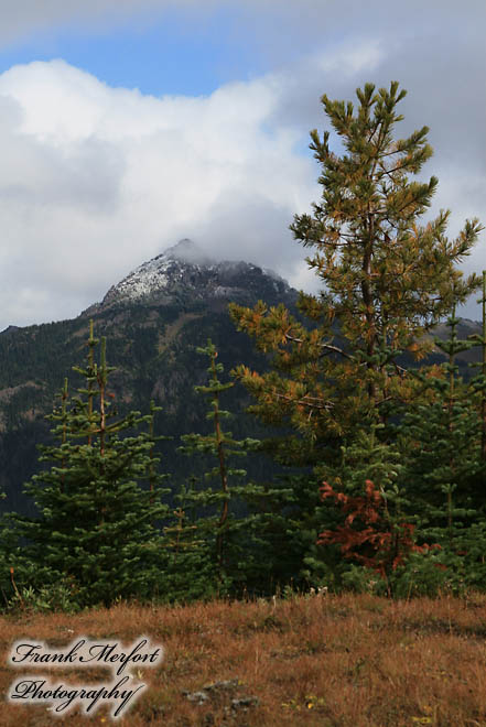 Hurricane Ridge