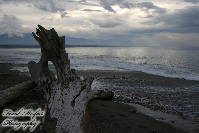 Dungeness Bay