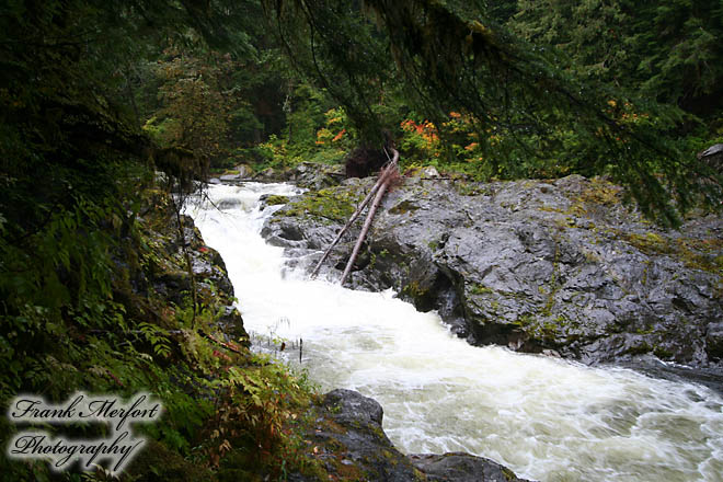 Salmon Cascades