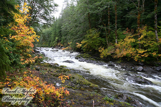 Salmon Cascades