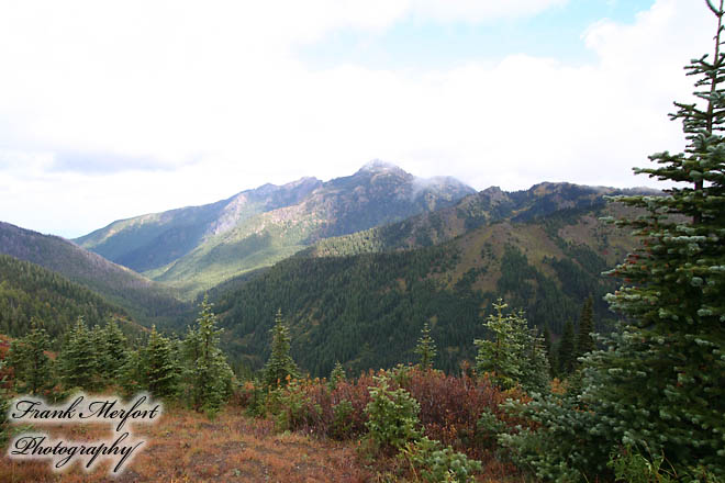 Hurricane Ridge