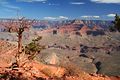South Kaibab Trail - Grand Canyon Nationalpark - USA