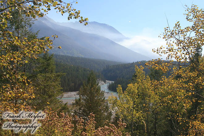 Viewpoint