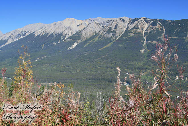 Kootenay Valley Viewpoint